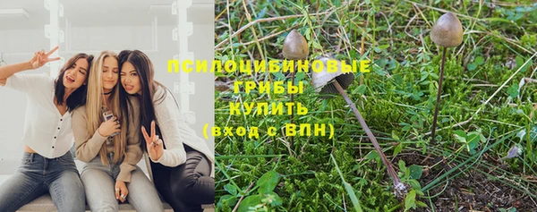 гашиш Няндома