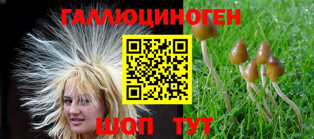 Псилоцибиновые грибы Psilocybine cubensis  Вход с VPN  Северск 